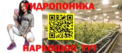 СК Канаш