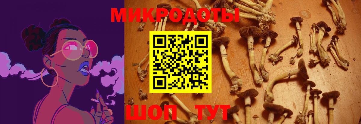 Галлюциногенные грибы ЛСД  Вход с VPN  Псилоцибиновые грибы Psilocybe  Кубинка 