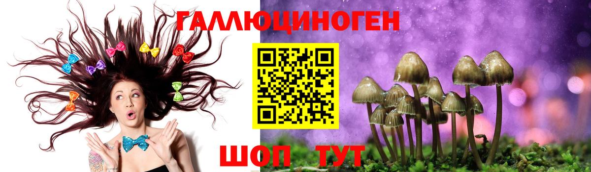Галлюциногенные грибы Magic Shrooms Кубинка